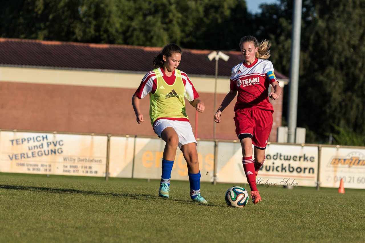 Bild 206 - C-Juniorinnen Alveslohe - KT : Ergebnis: 0:23